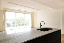 Botanic Gardens View (D10), Apartment #627455551